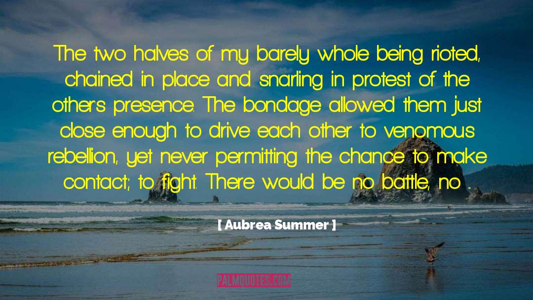 Madness And Civilization quotes by Aubrea Summer