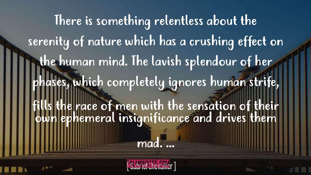 Madness And Insanity quotes by Gabriel Chevallier