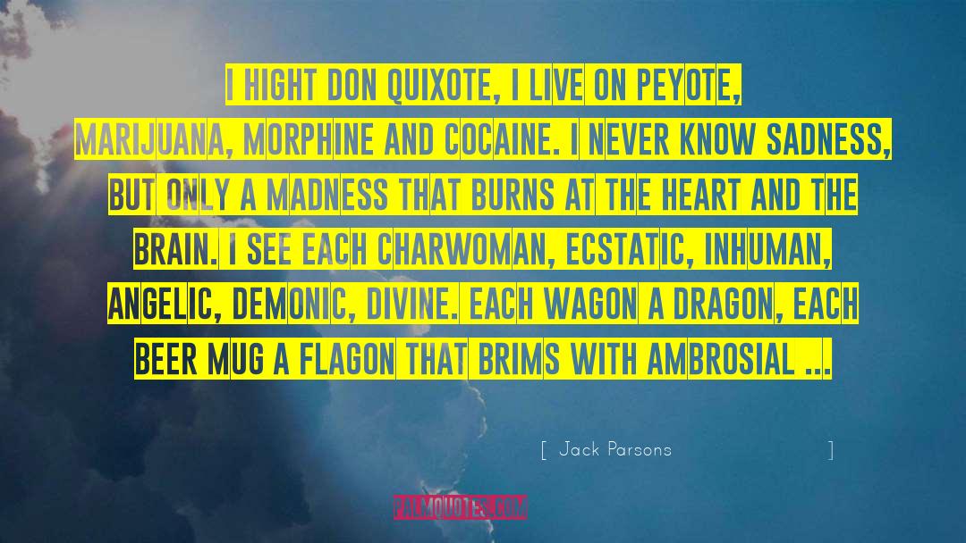 Madness Insanity quotes by Jack Parsons