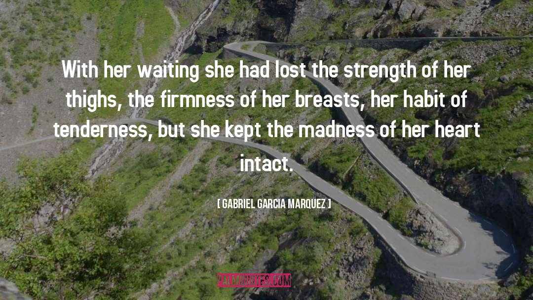 Madness Overloaded quotes by Gabriel Garcia Marquez