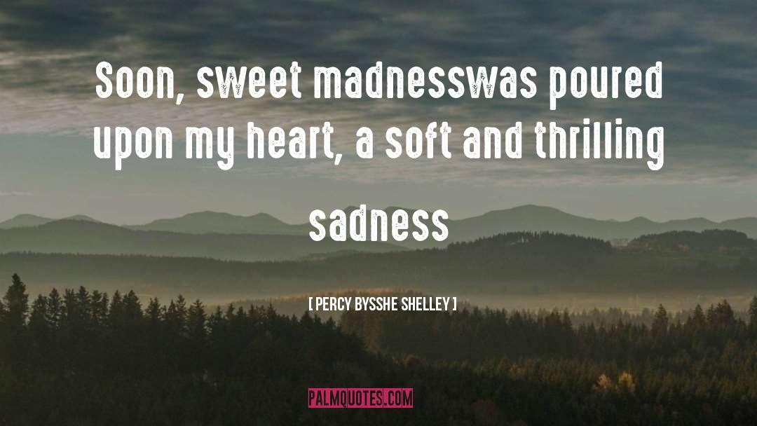 Madness quotes by Percy Bysshe Shelley