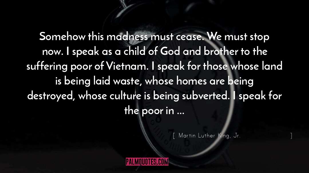 Madness quotes by Martin Luther King, Jr.