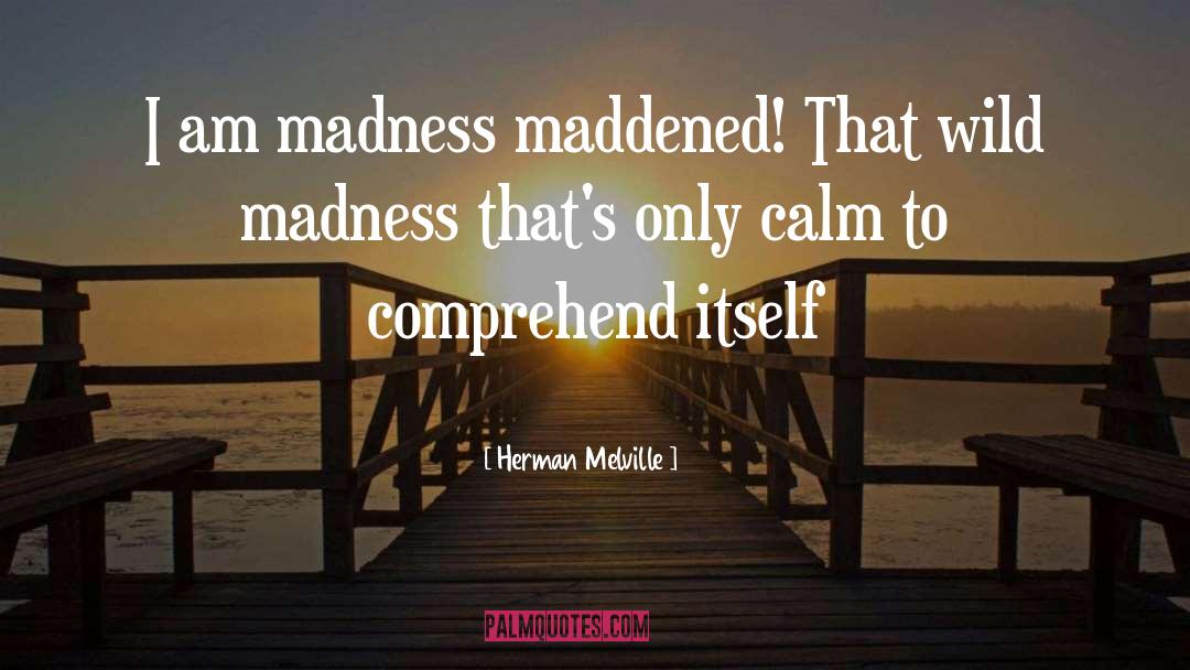 Madness quotes by Herman Melville