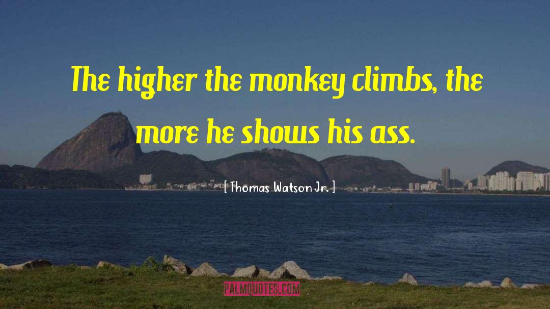 Madral Monkey quotes by Thomas Watson Jr.