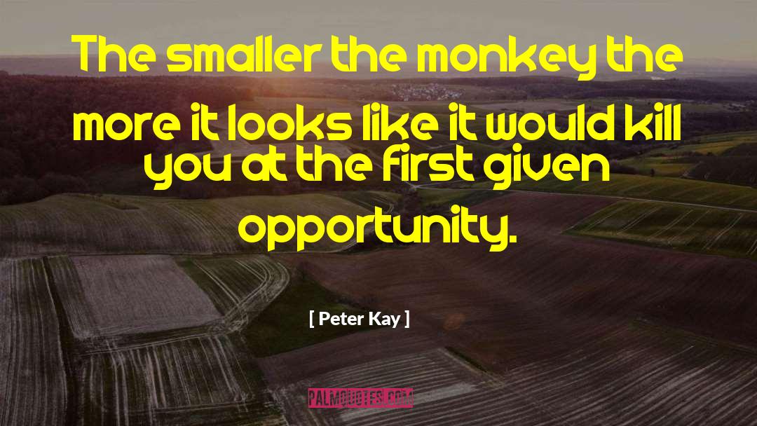 Madral Monkey quotes by Peter Kay