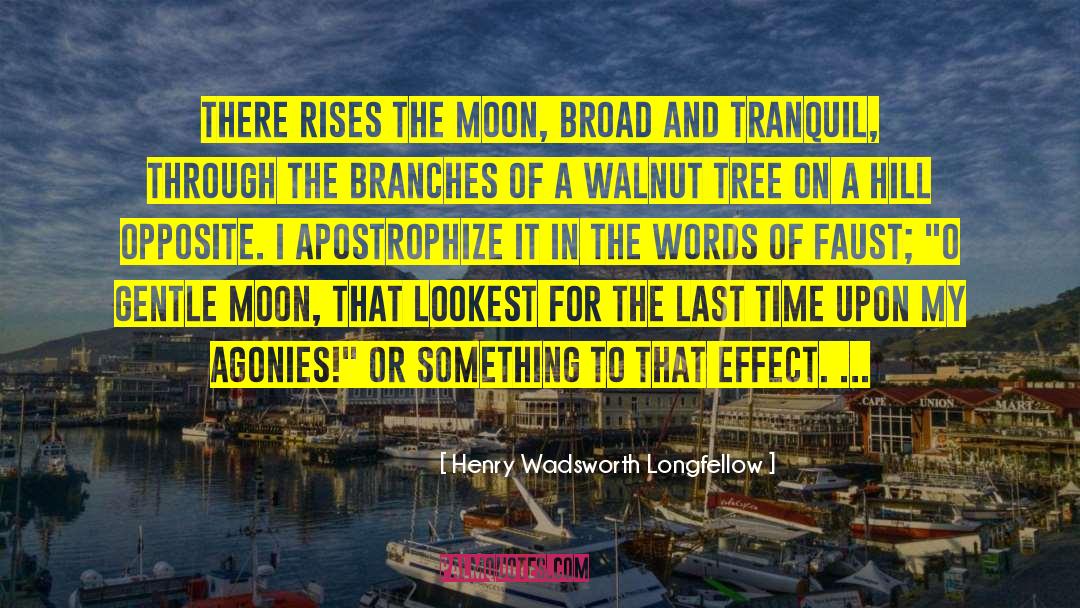 Madro O Tree quotes by Henry Wadsworth Longfellow