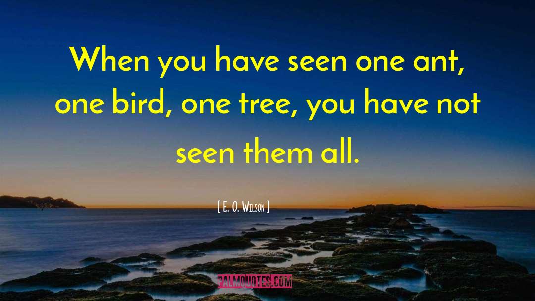 Madro O Tree quotes by E. O. Wilson