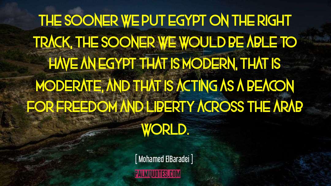 Madyan To Egypt quotes by Mohamed ElBaradei