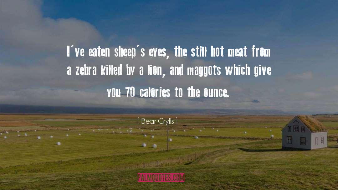 Maggots quotes by Bear Grylls