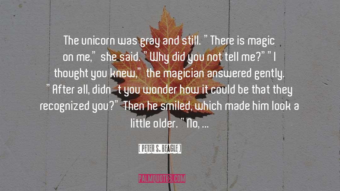 Magic And Mystery quotes by Peter S. Beagle