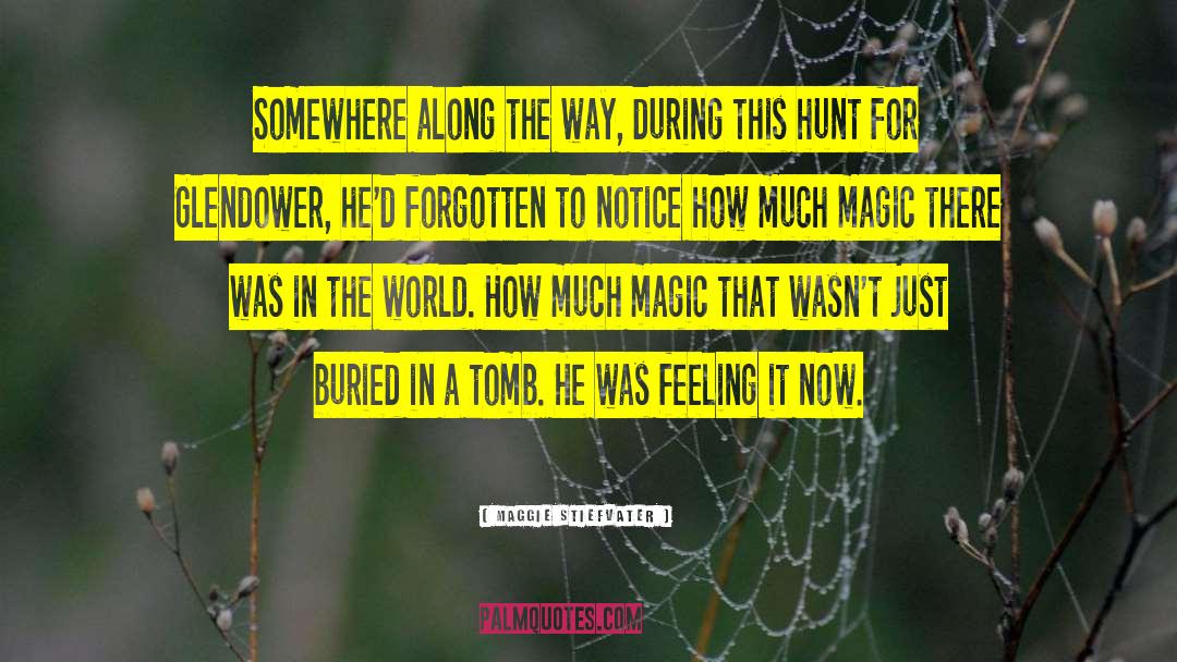 Magic Fot Nothing quotes by Maggie Stiefvater