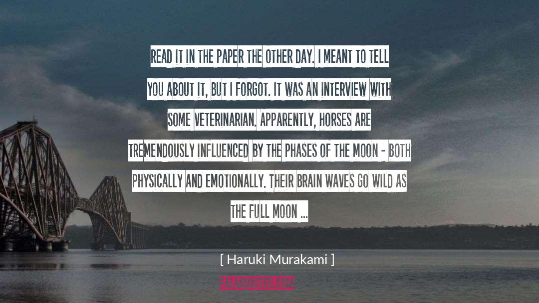 Magic Of Full Moon Night quotes by Haruki Murakami