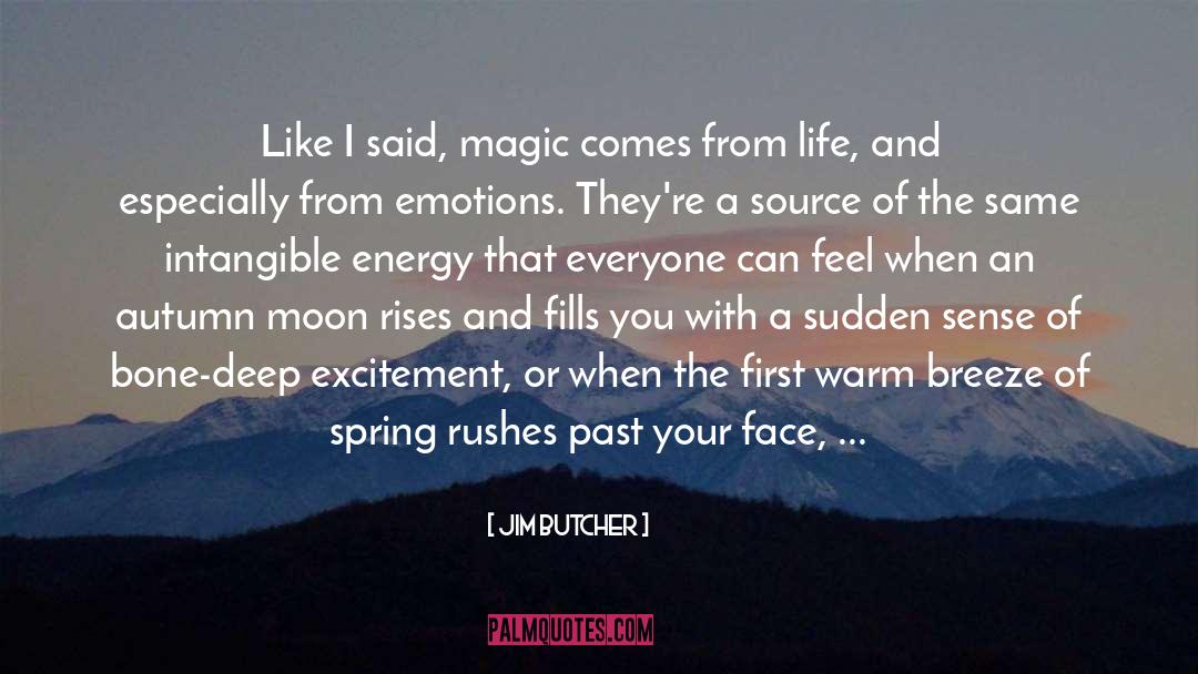 Magic Of Full Moon Night quotes by Jim Butcher
