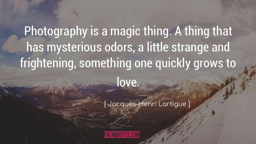 Magic Stories quotes by Jacques-Henri Lartigue