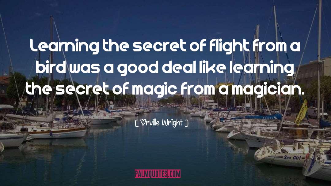 Magic Stories quotes by Orville Wright