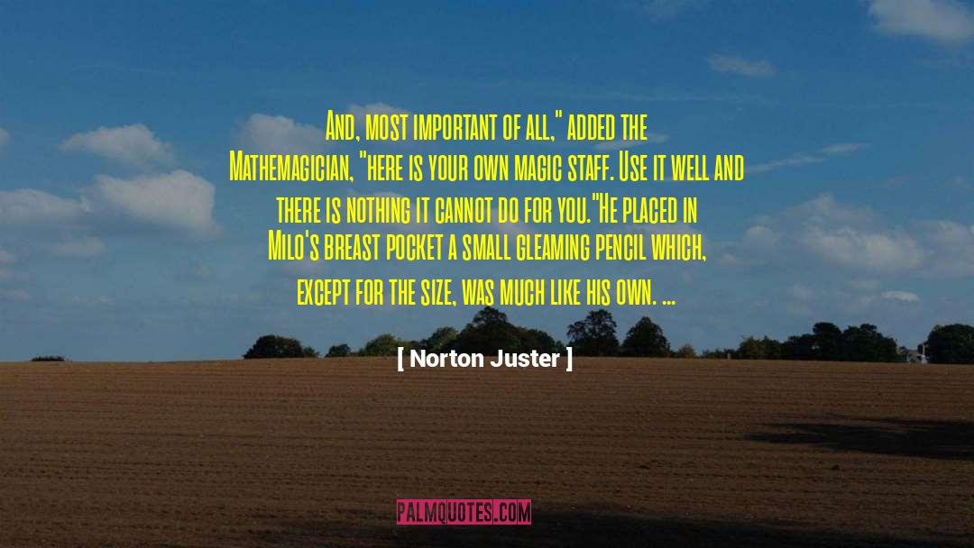Magic Stories quotes by Norton Juster