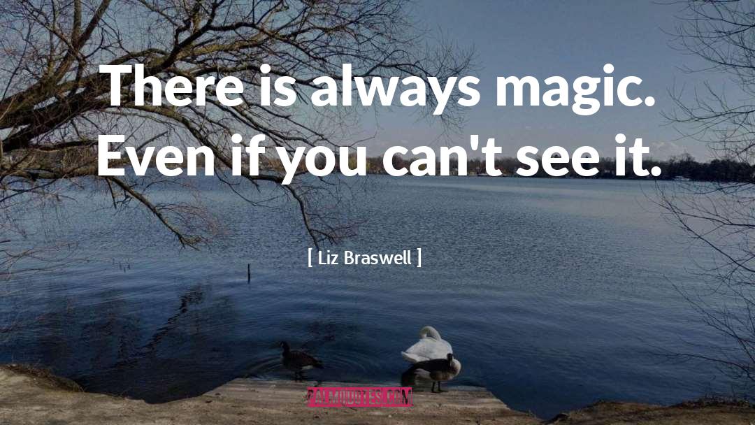 Magic Systems quotes by Liz Braswell