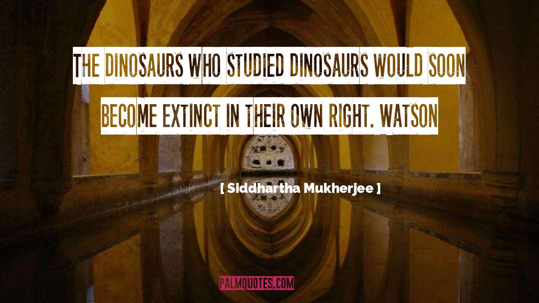 Magic Tree House Dinosaurs Before Dark quotes by Siddhartha Mukherjee