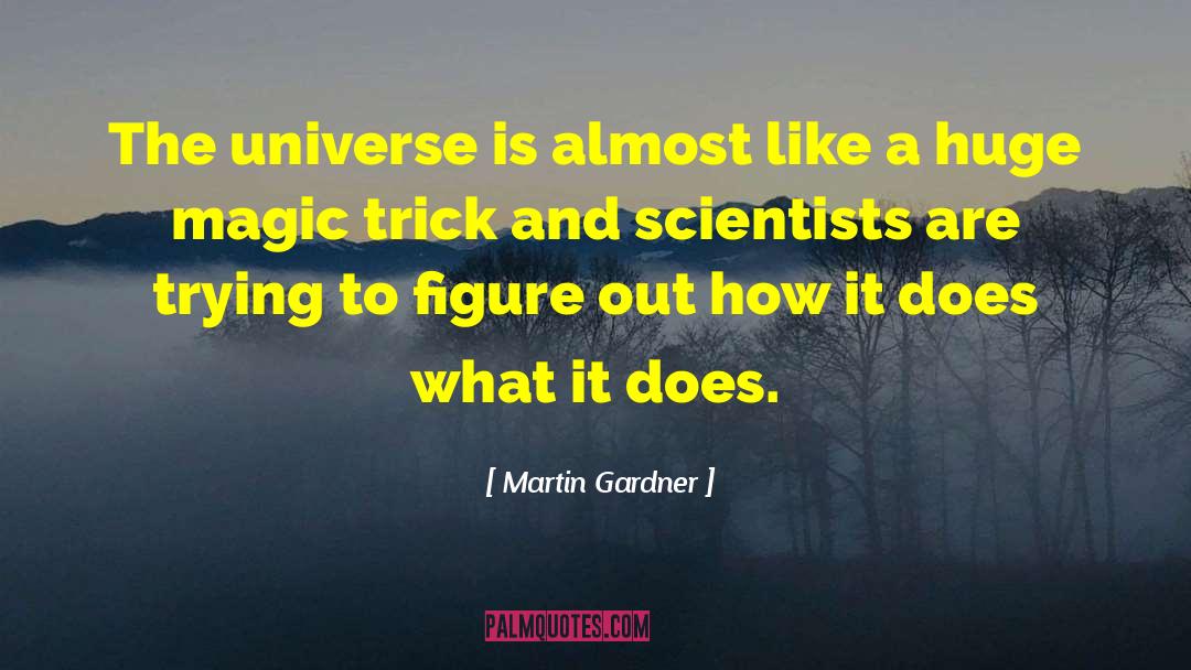 Magic Trick quotes by Martin Gardner