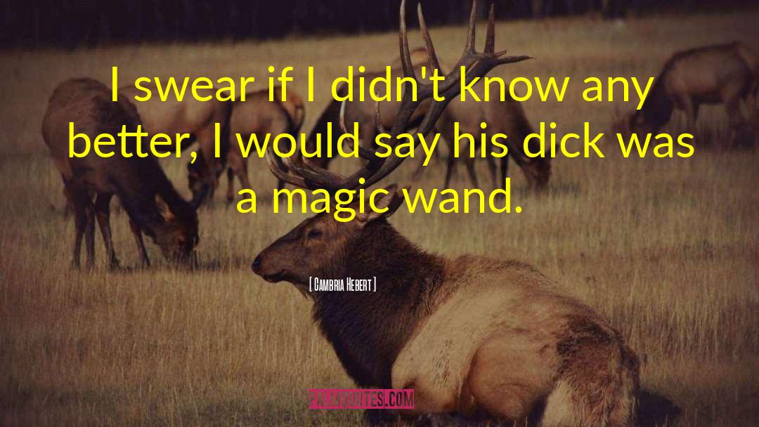 Magic Wand quotes by Cambria Hebert