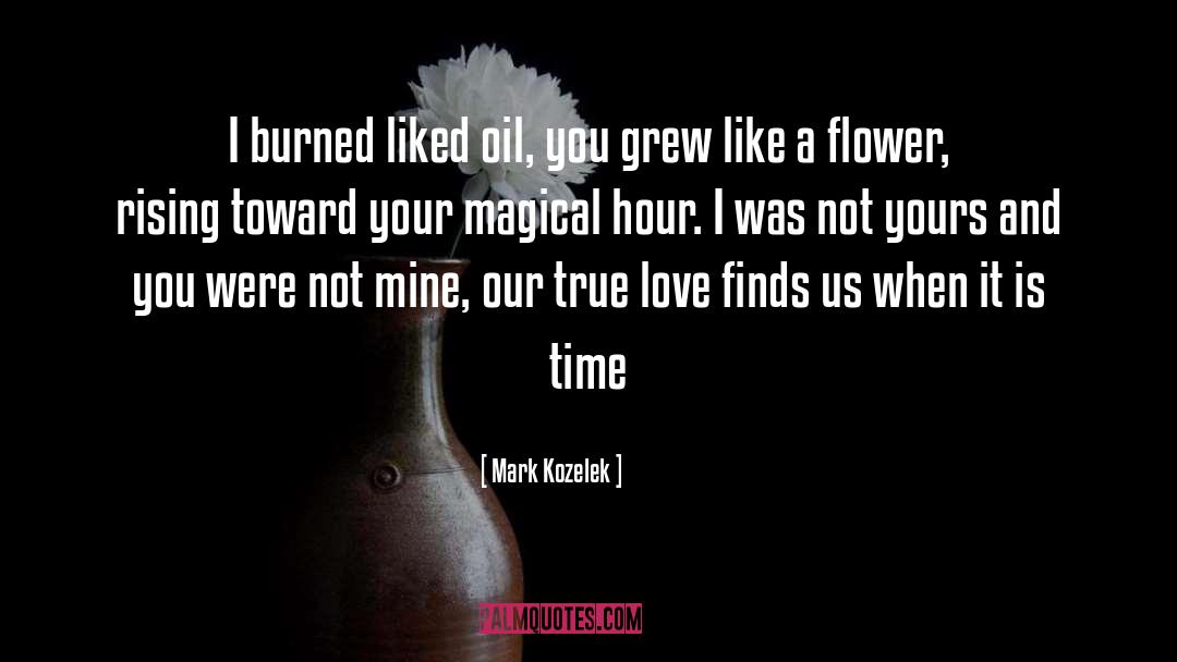 Magical And Mysterious Fairytale quotes by Mark Kozelek