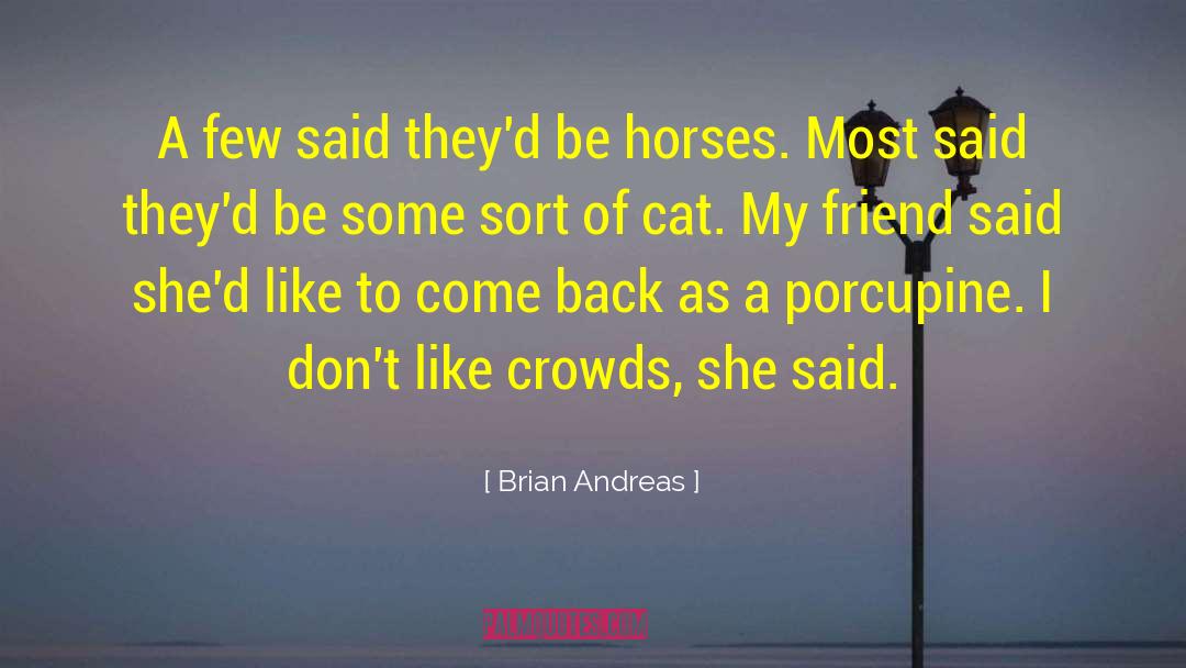 Magical Horses quotes by Brian Andreas