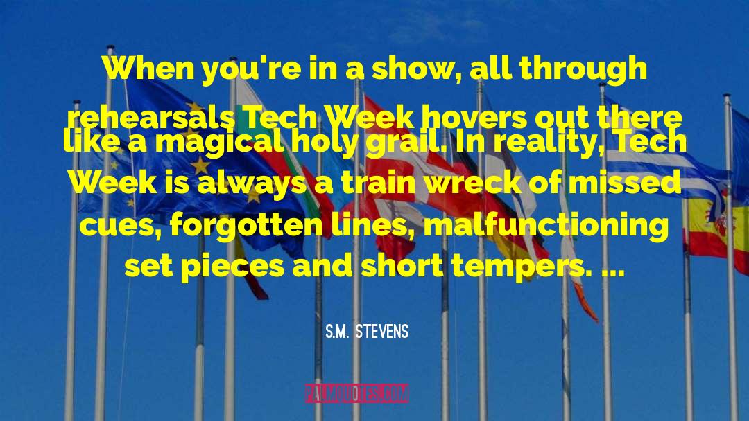 Magical Horses quotes by S.M. Stevens