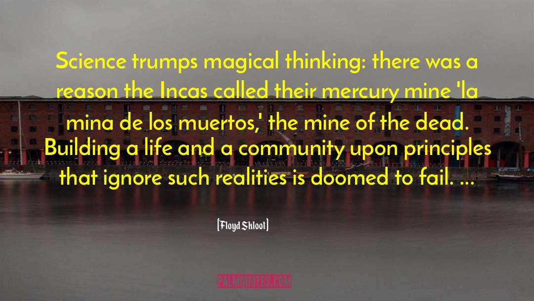 Magical Thinking quotes by Floyd Skloot