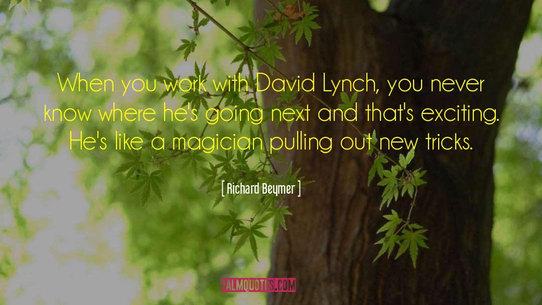 Magician quotes by Richard Beymer