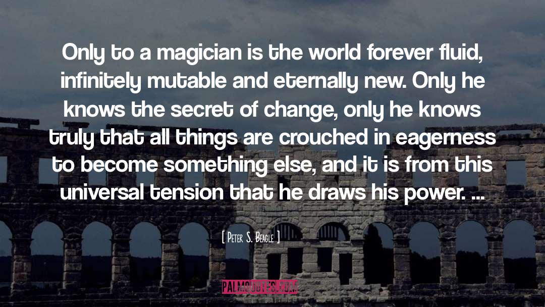 Magician quotes by Peter S. Beagle