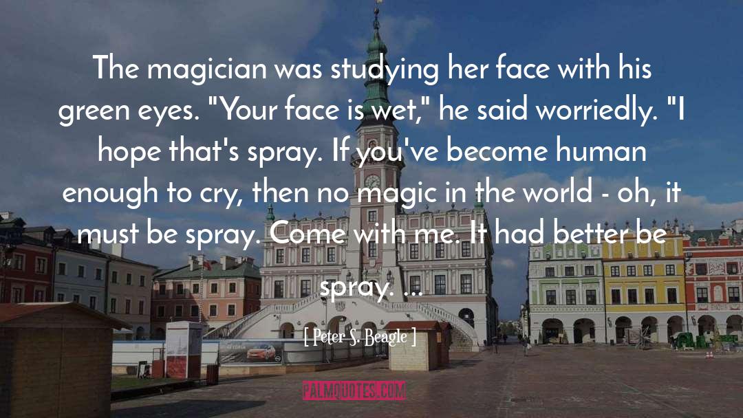 Magician quotes by Peter S. Beagle
