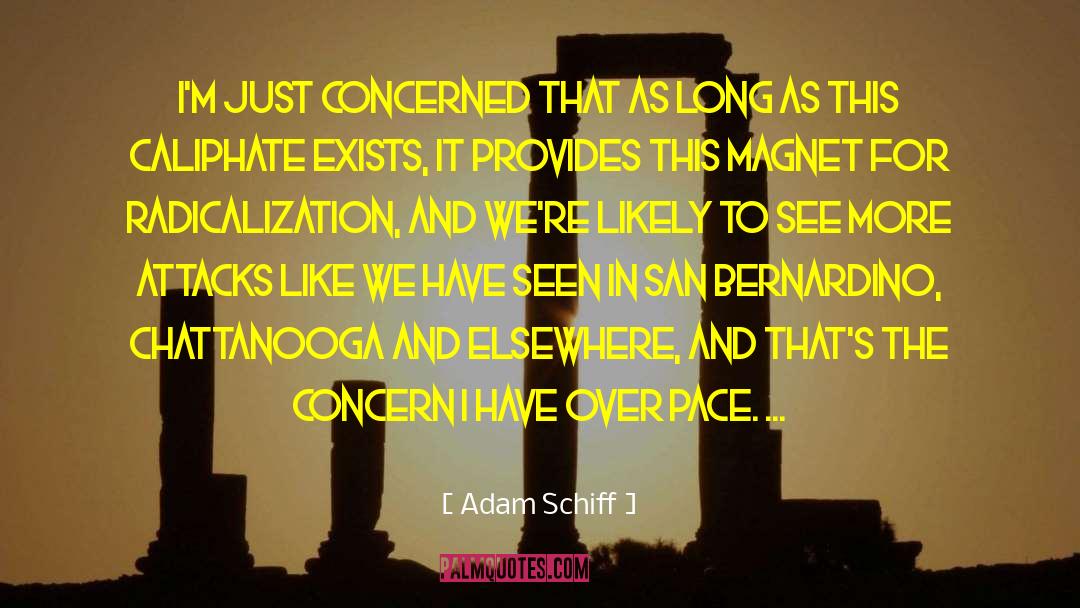 Magnet Quote quotes by Adam Schiff