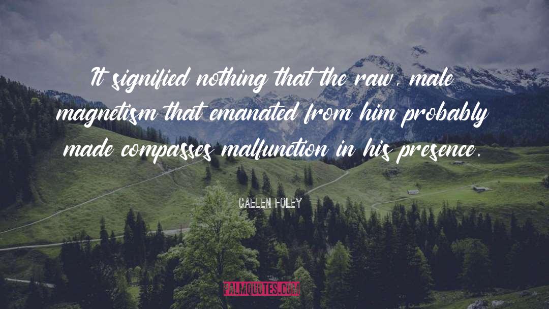 Magnetism quotes by Gaelen Foley