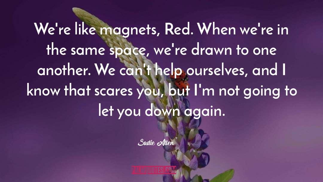 Magnets quotes by Sadie Allen