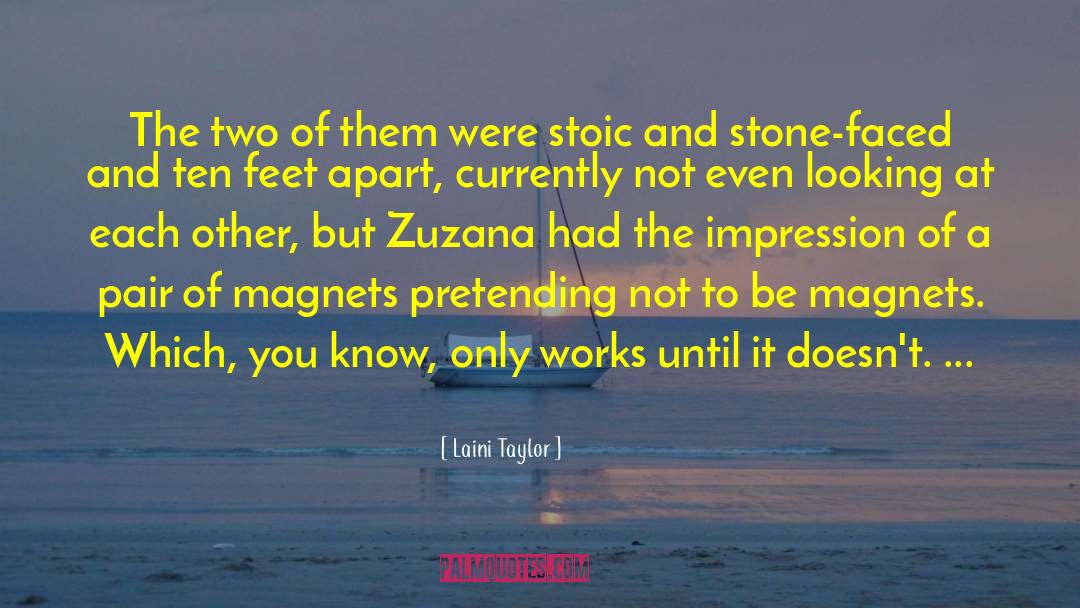 Magnets quotes by Laini Taylor