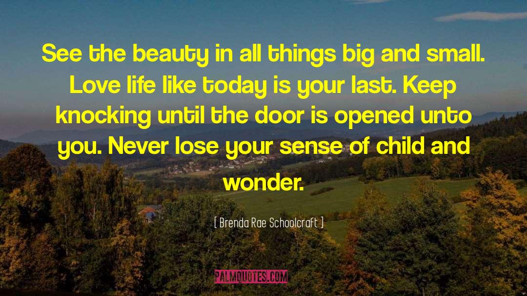 Magnificence And Beauty quotes by Brenda Rae Schoolcraft