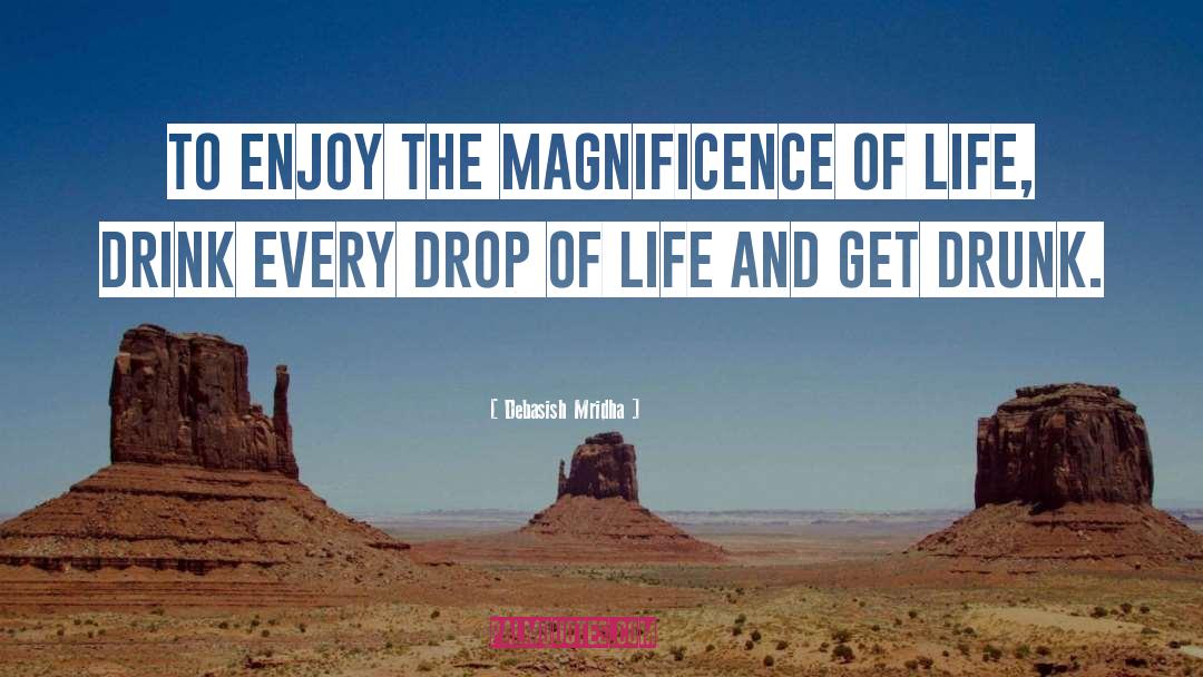 Magnificence Of Life quotes by Debasish Mridha