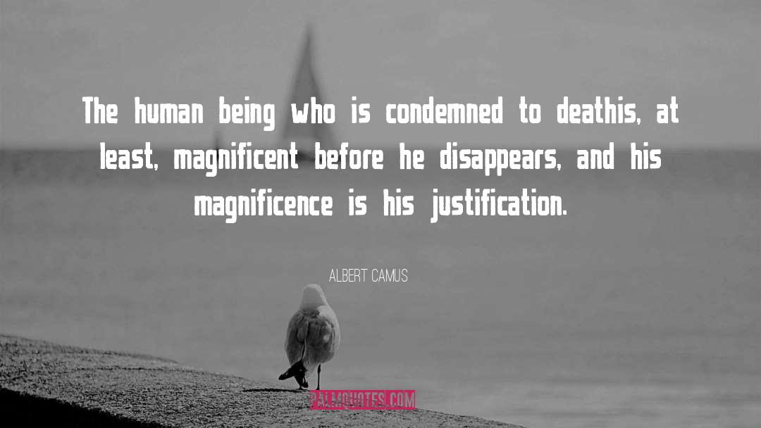 Magnificence quotes by Albert Camus