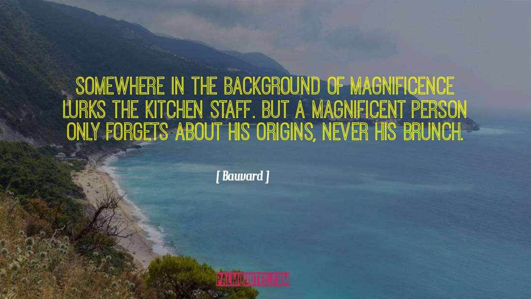 Magnificence quotes by Bauvard