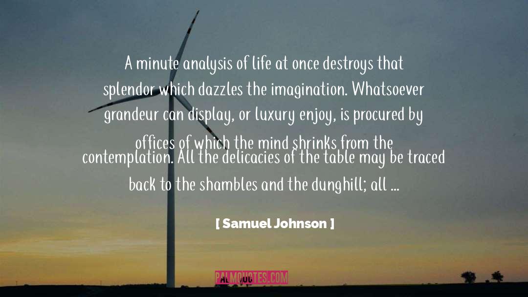 Magnificence quotes by Samuel Johnson