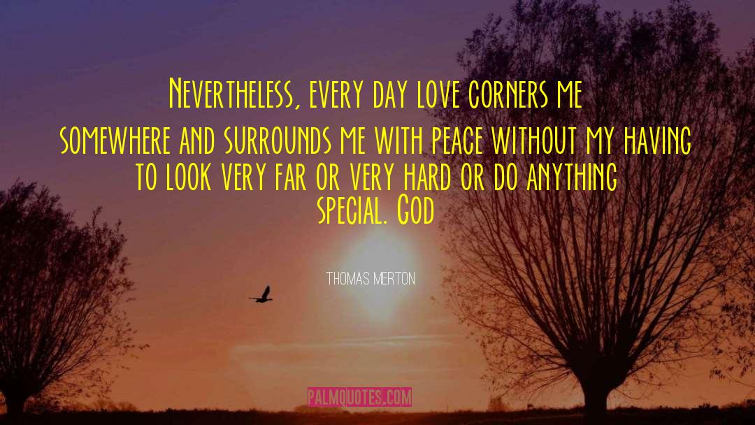 Magnificence Surrounds Me quotes by Thomas Merton