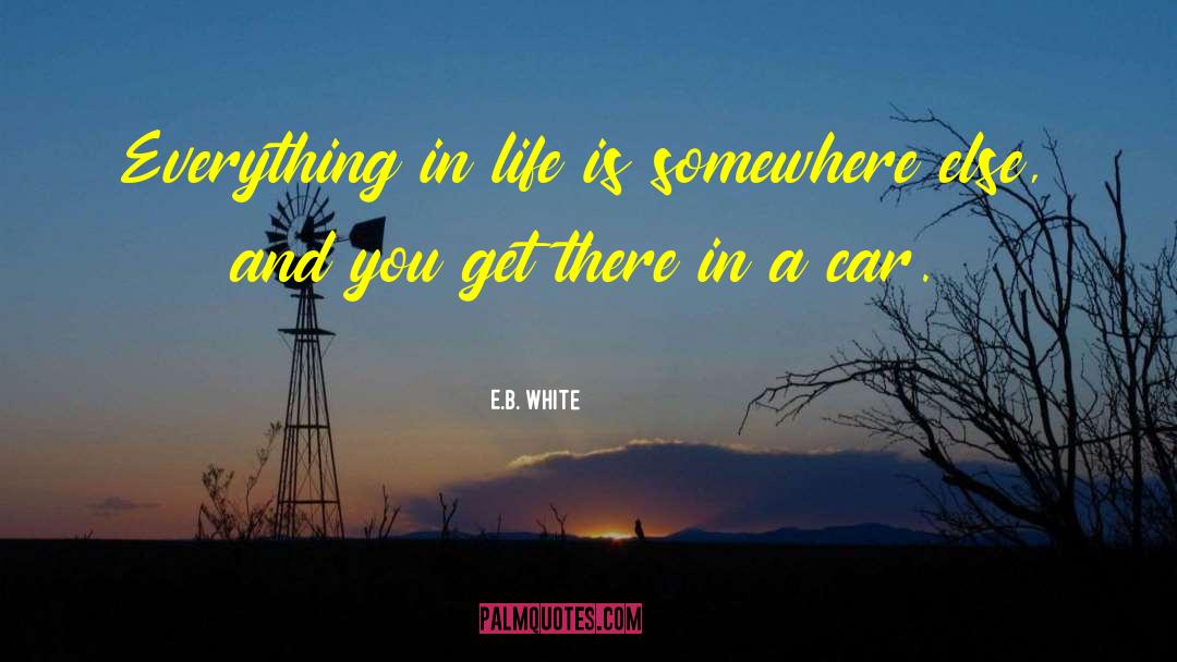 Magnificent Life quotes by E.B. White