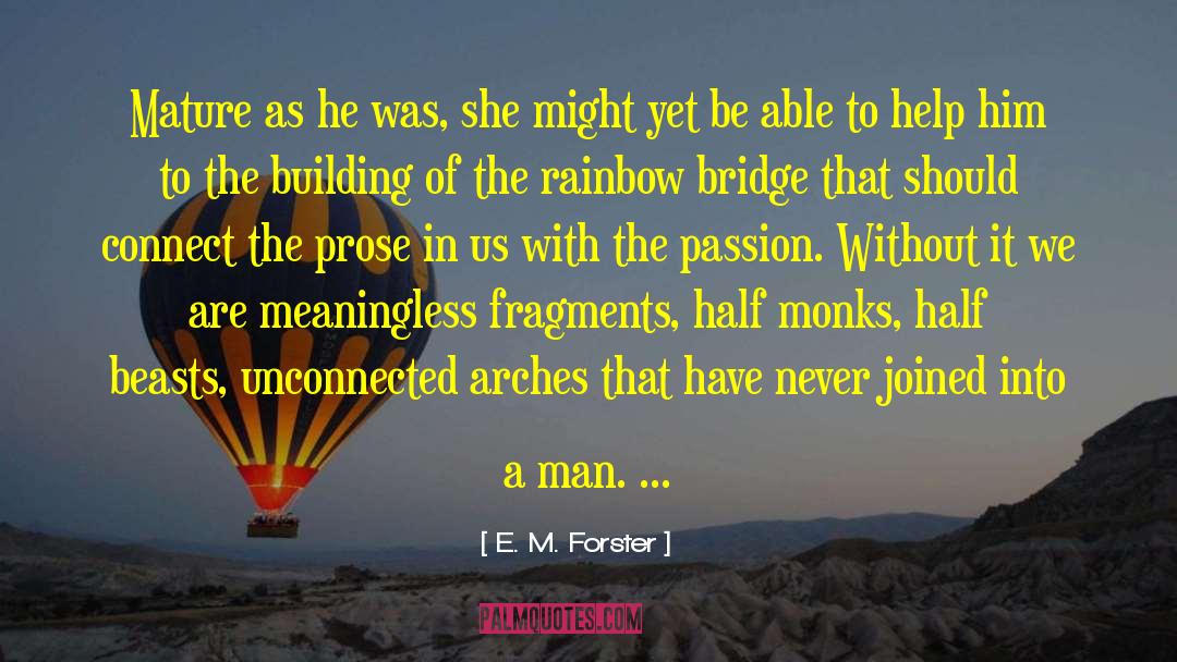 Magnificent Rainbow quotes by E. M. Forster