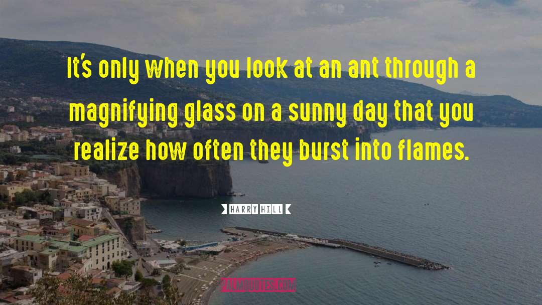 Magnifying Glass quotes by Harry Hill