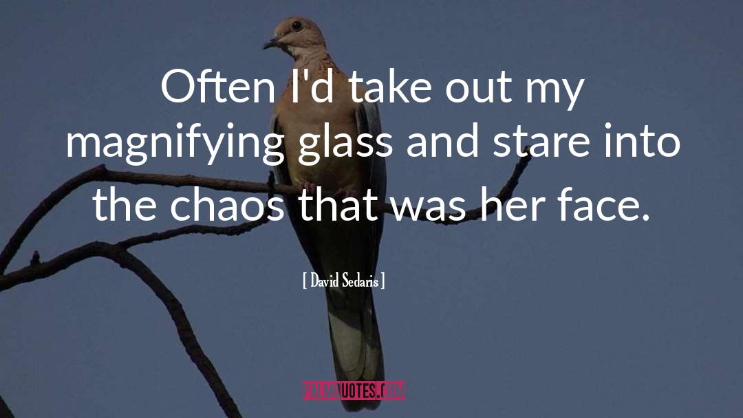 Magnifying Glass quotes by David Sedaris