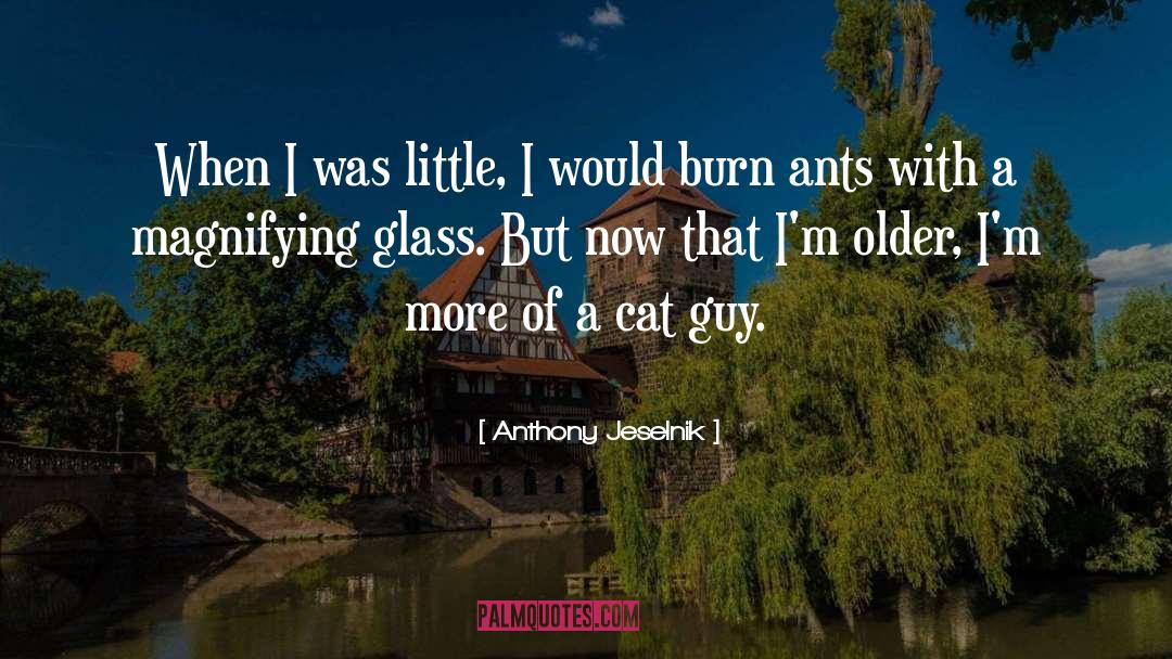 Magnifying quotes by Anthony Jeselnik