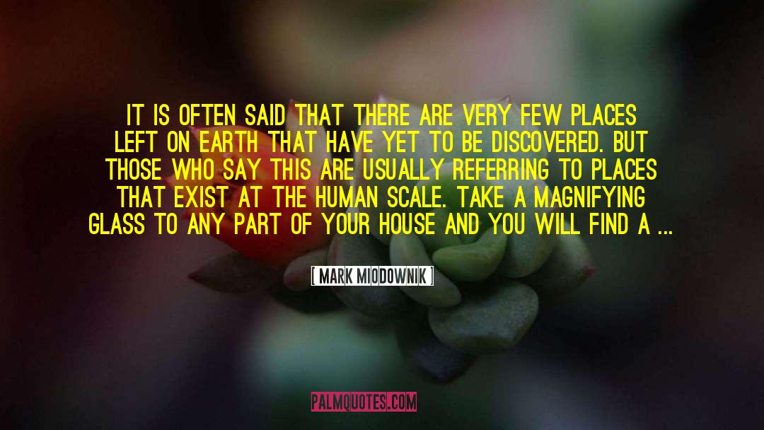 Magnifying quotes by Mark Miodownik
