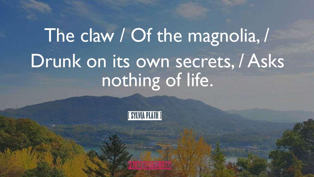 Magnolias quotes by Sylvia Plath