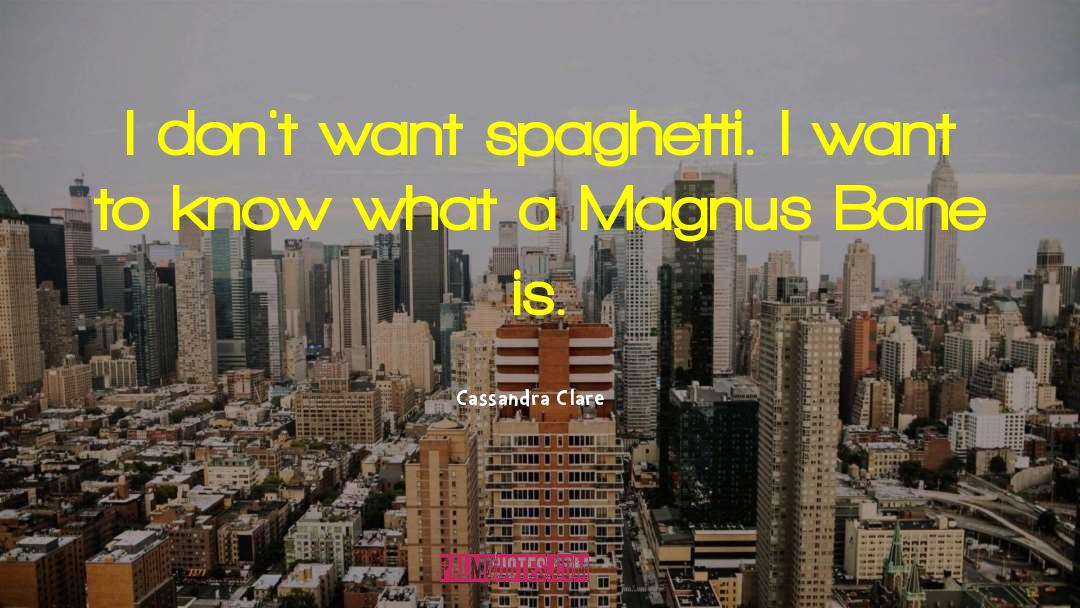 Magnus Bane quotes by Cassandra Clare