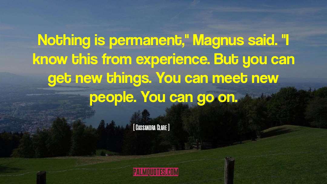 Magnus Johansen quotes by Cassandra Clare